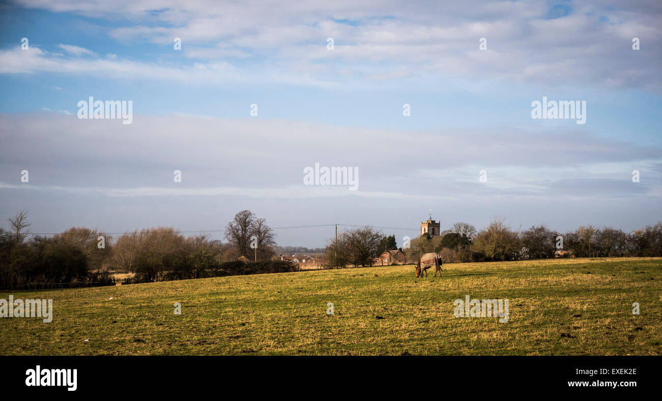 I terreni agricoli e un cavallo al pascolo con la guglia della chiesa nella distanza vicino a Long Itchington, Warwickshire, Regno Unito Foto Stock