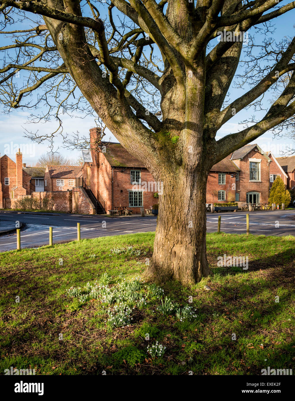 Il Buck e la campana pub in primavera Long Itchington, Warwickshire, Regno Unito Foto Stock