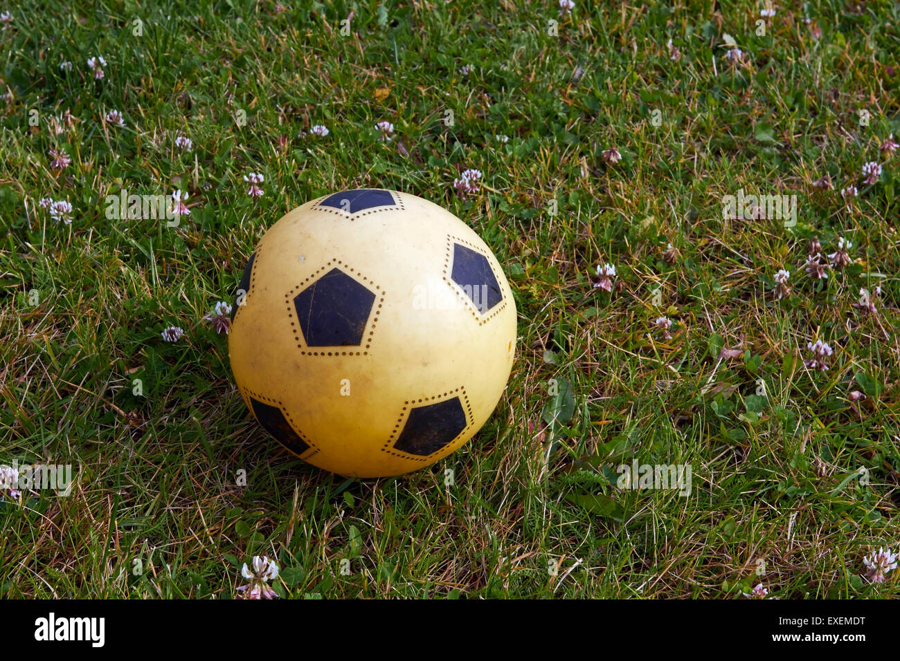 sfera su erba Foto Stock