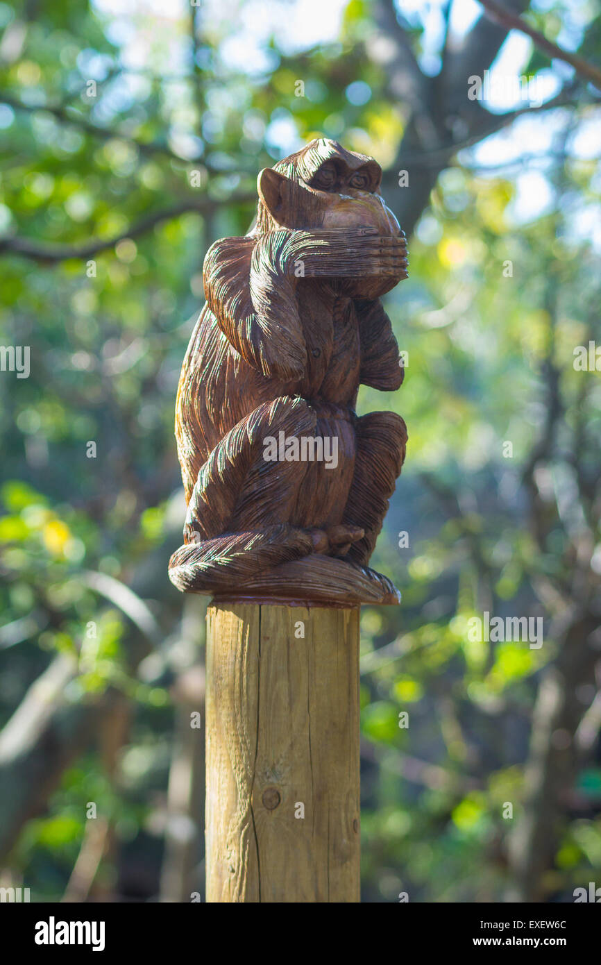 Intaglio del legno monkey che copre la bocca Foto Stock