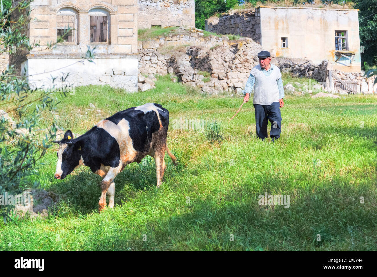 Anatolia rurale, Agzikarahan, Konya; Aksaray; Anatolia; Turchia; Foto Stock