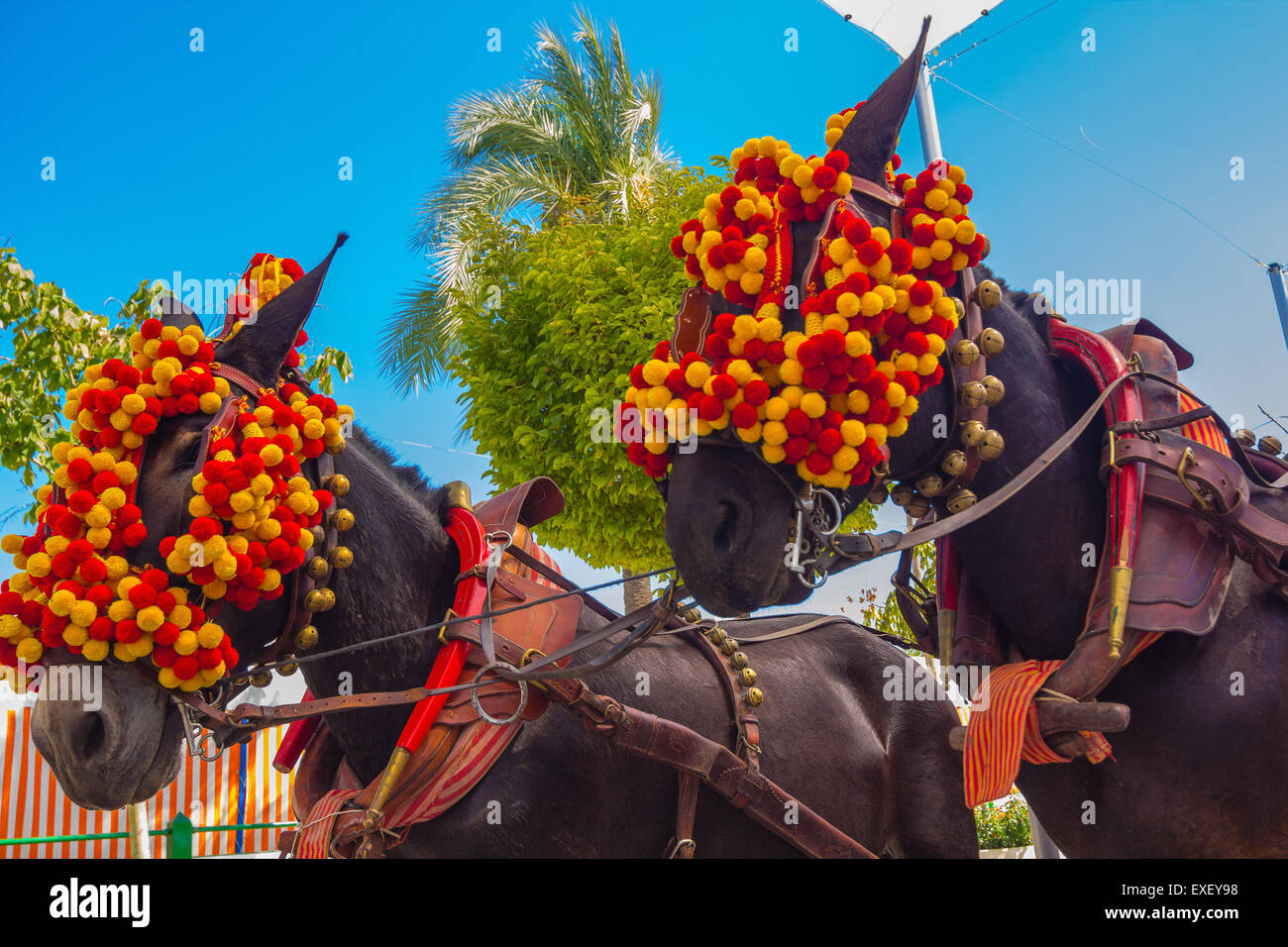 Cavalli graziosi con ornamenti colorati partecipare al famoso cavallo andaluso Fair andujar, Spagna Foto Stock