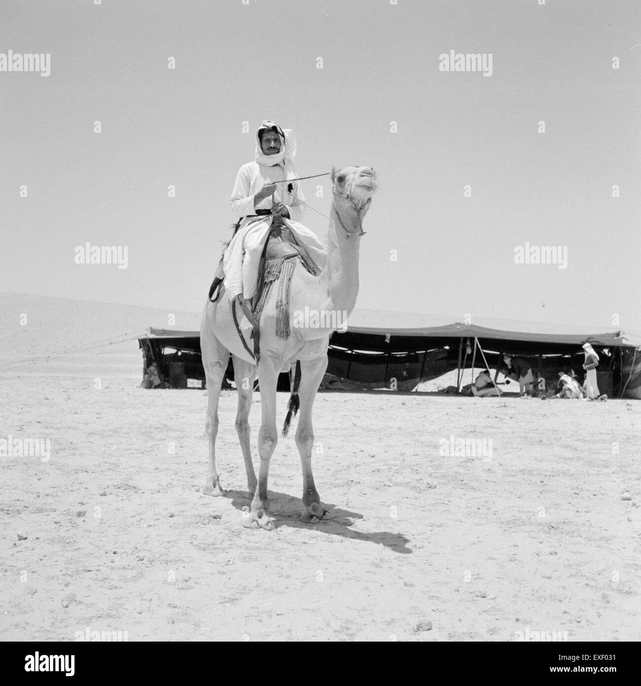 In Bedoeinen de woestijn beduini nel Deserto Foto Stock