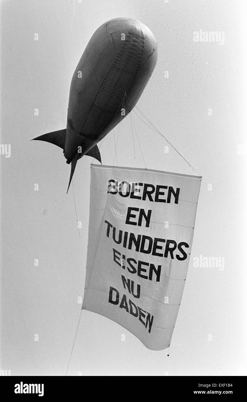 Questa fotografia cattura una protesta degli agricoltori nei Paesi Bassi, dove i manifestanti hanno usato un pallone come simbolo della loro causa, evidenziando le preoccupazioni ambientali e agricole. L'immagine riflette l'attivismo sociale e le questioni rurali nella società olandese. Foto Stock