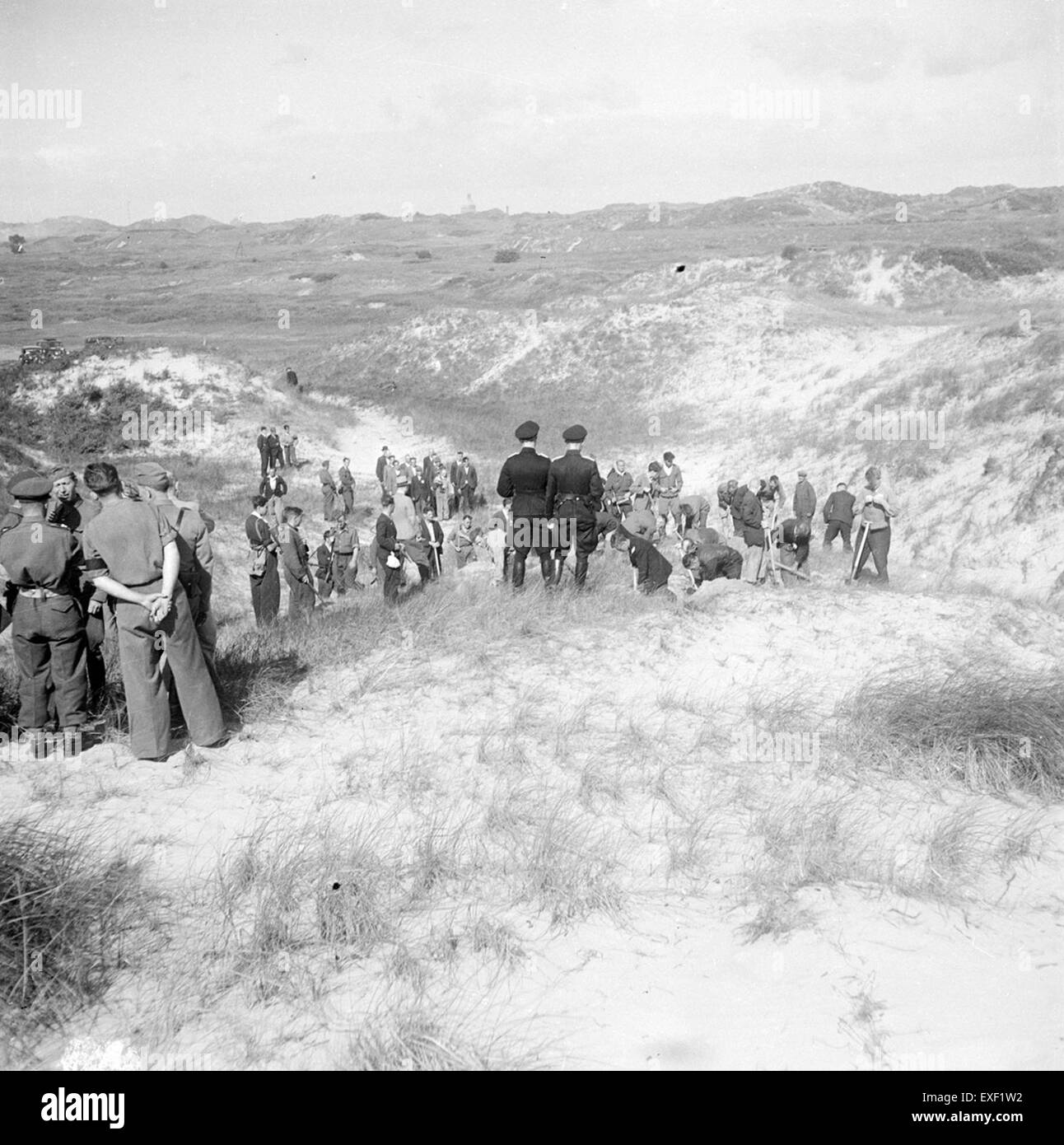 Questa immagine raffigura criminali di guerra tedeschi e collaboratori olandesi che riesumano vittime di guerra sotto supervisione. Si tratta di un riflesso degli sforzi compiuti dopo la seconda guerra mondiale per indagare e identificare le vittime di crimini di guerra durante le conseguenze del conflitto. Foto Stock