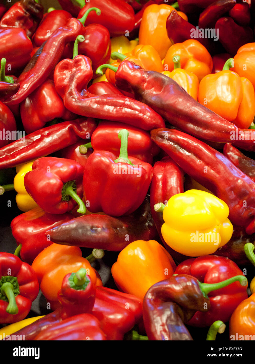 Una varietà di rosso, arancio e giallo dolci peperoni presso la Old Strathcona Mercato degli Agricoltori in Edmonton, Alberta, Canada. Foto Stock