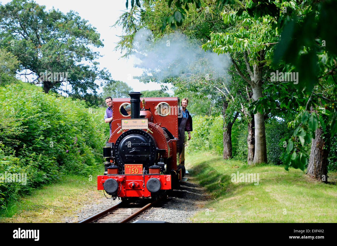 Talyllyn Railway n. 1 "Talyllyn del 1864 vicino stazione Rhydyronen con una speciale centocinquantesimo anniversario treno 'l'Sesquicentarian' Foto Stock