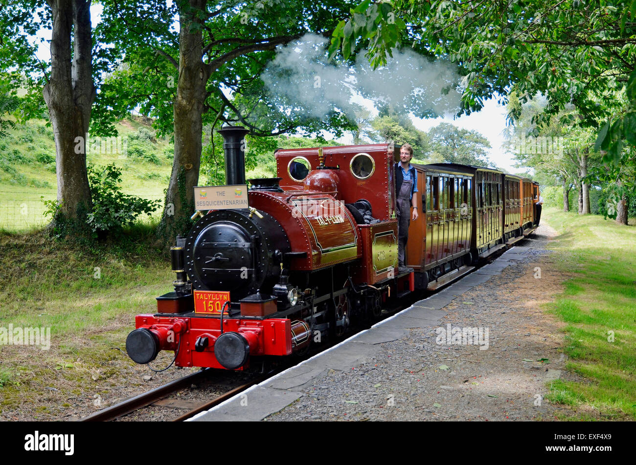 Talyllyn Railway n. 1 "Talyllyn 1864 passa Rhydyronen stazione con una speciale centocinquantesimo anniversario treno 'l'Sesquicentarian' Foto Stock