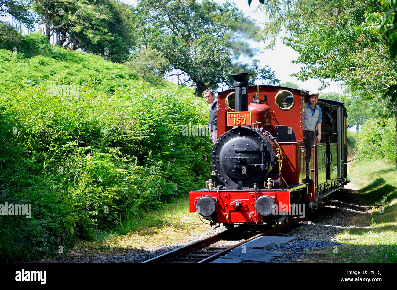 Talyllyn Railway n. 2 'Dolgoch' del 1866 si avvicina Rhydyronen stazione con una speciale centocinquantesimo anniversario Il treno. Foto Stock