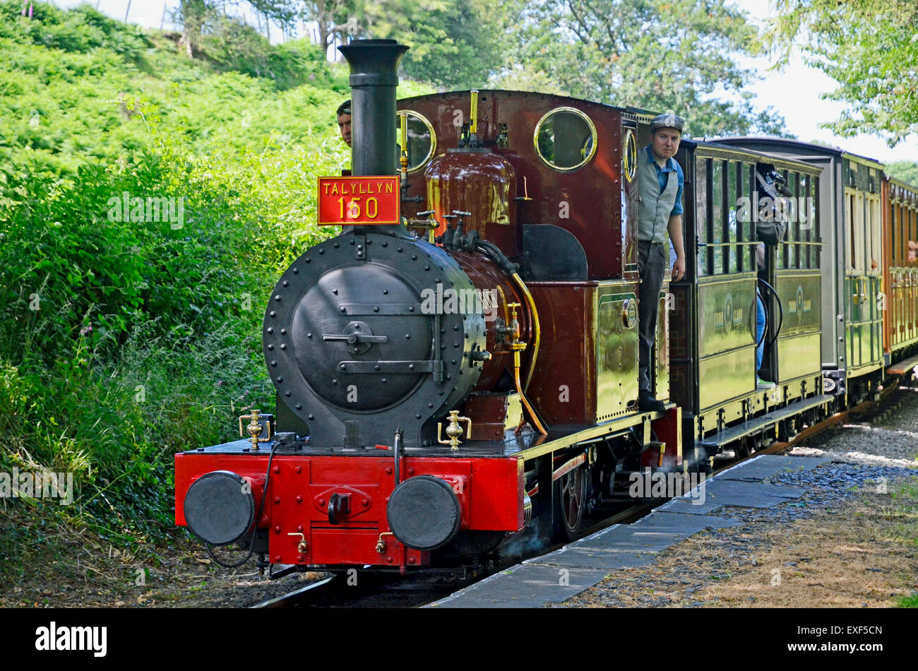 Talyllyn Railway n. 2 'Dolgoch' del 1866 passa Rhydyronen stazione con una speciale centocinquantesimo anniversario Il treno. Foto Stock
