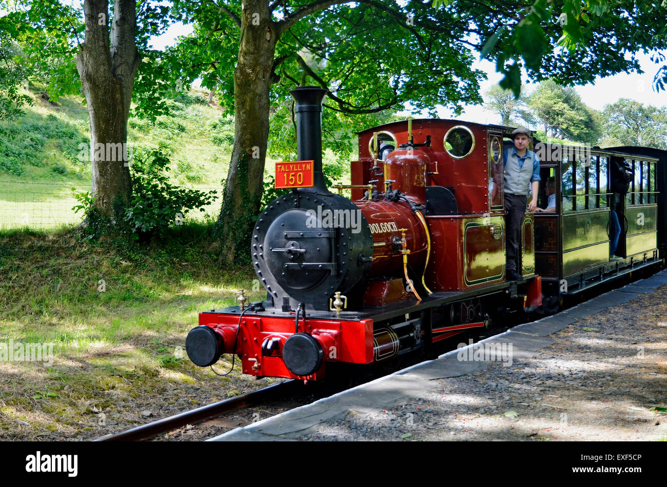 Talyllyn Railway n. 2 'Dolgoch' del 1866 passa Rhydyronen stazione con una speciale centocinquantesimo anniversario Il treno. Foto Stock