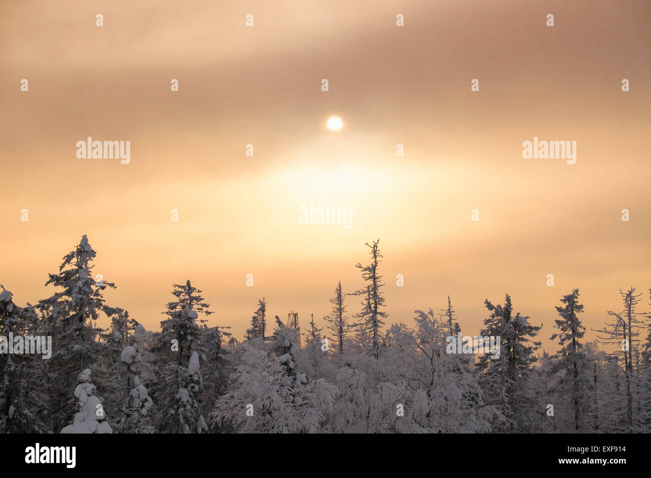 Vista della coperta di neve tree tops e nuvole di tempesta, Nizhniy Tagil, nella Regione di Sverdlovsk, Russia Foto Stock