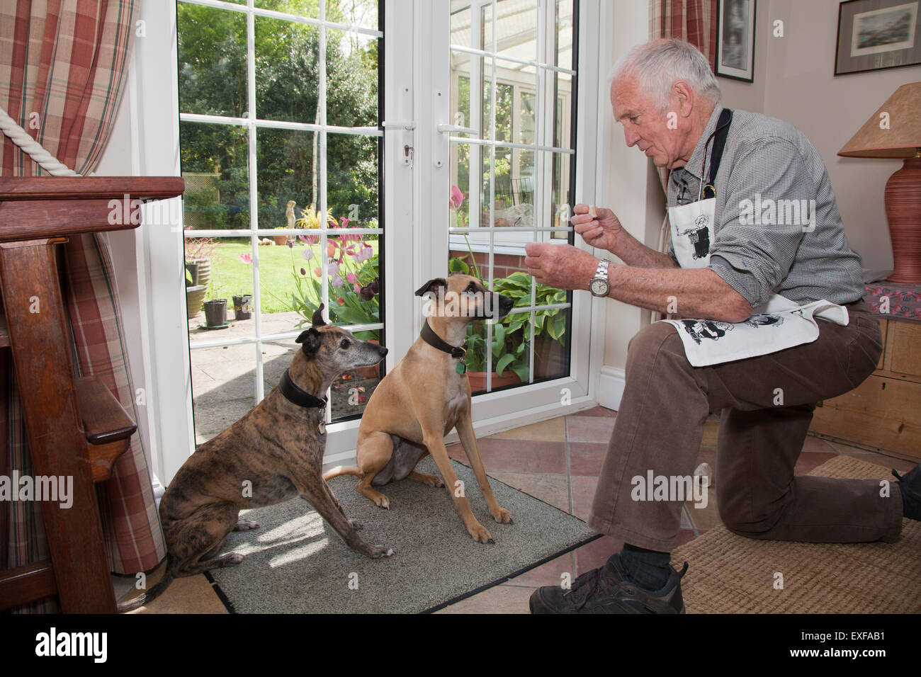 Senior uomo insegnamento cani per sedersi e aspettare per tratta Foto Stock