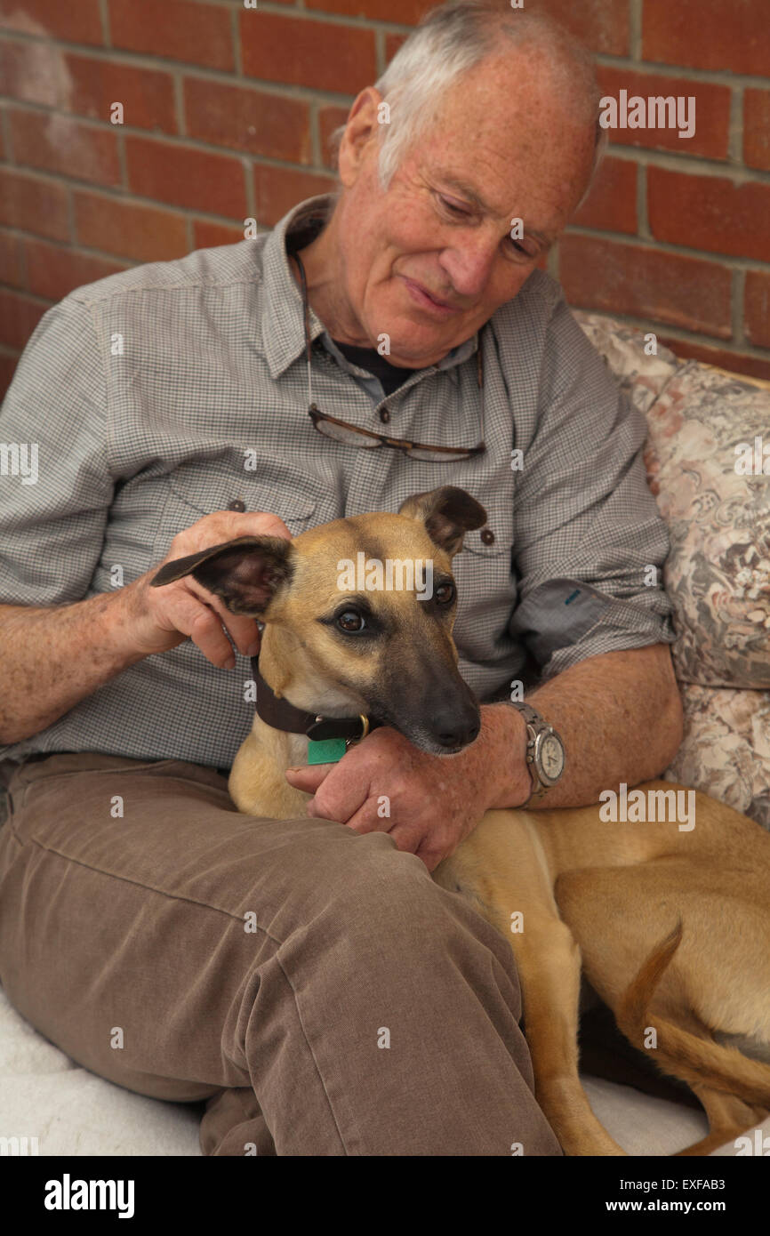 Senior, uomo seduto, accarezzare cane Foto Stock