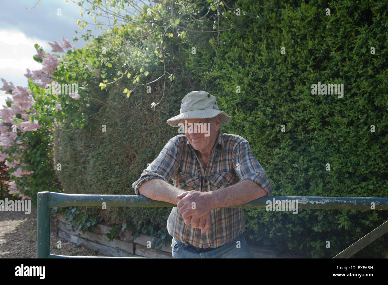 Senior uomo, appoggiata sul giardino recinto Foto Stock