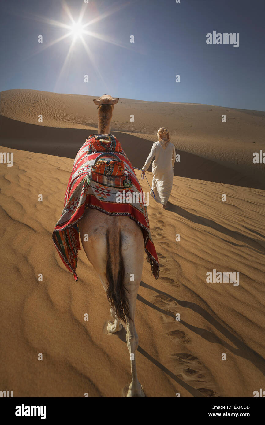 Vista posteriore del leader beduino cammello nel deserto, Dubai, Emirati Arabi Uniti Foto Stock