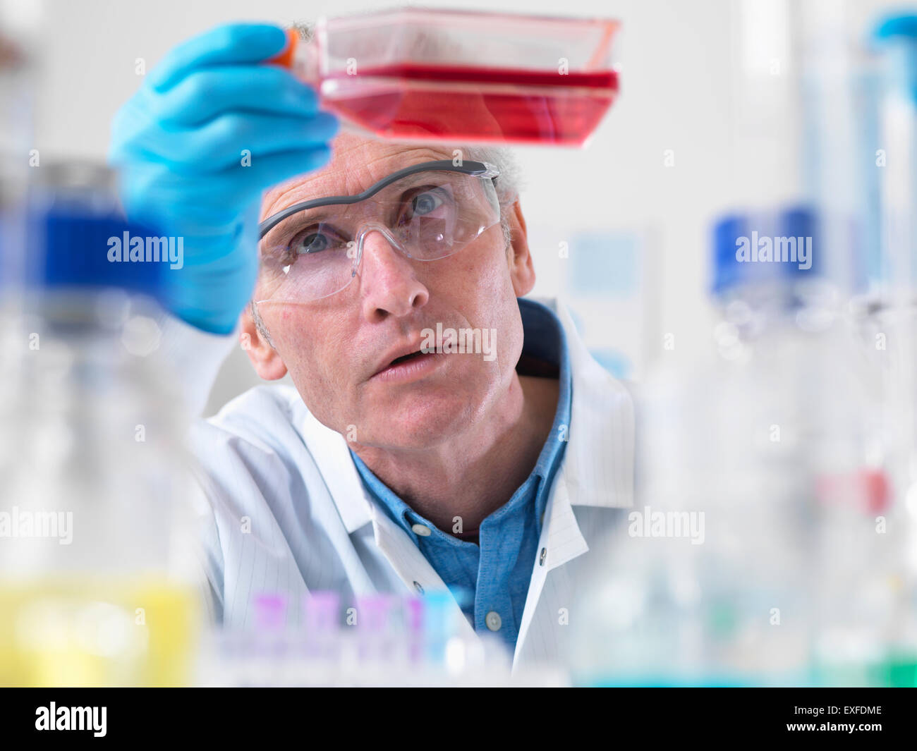 Chiusura del biologo cella tenendo un pallone contenente cellule staminali Foto Stock