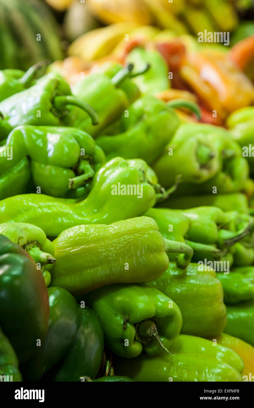 Peperoni, Plaza del Mercado, Santurce, Puerto Rico Foto Stock