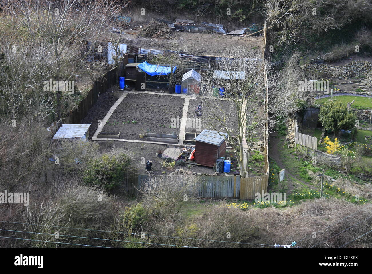 Riparto giardino con scavata su terreno in pendenza a lato della valle presso Staithes North Yorkshire costa. Foto Stock