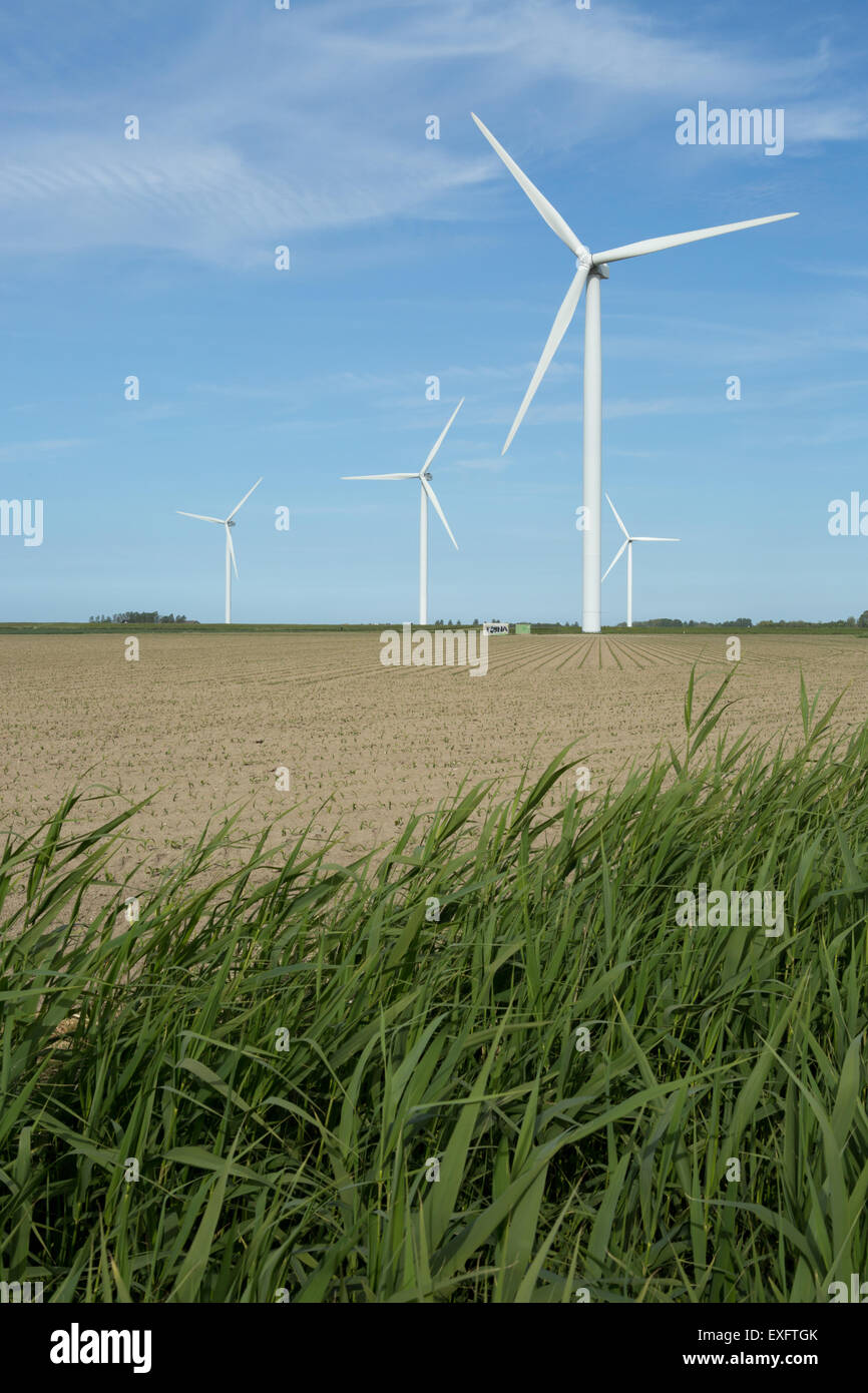 Le turbine eoliche su un campo, Kamperland, Zeeland, Paesi Bassi Foto Stock