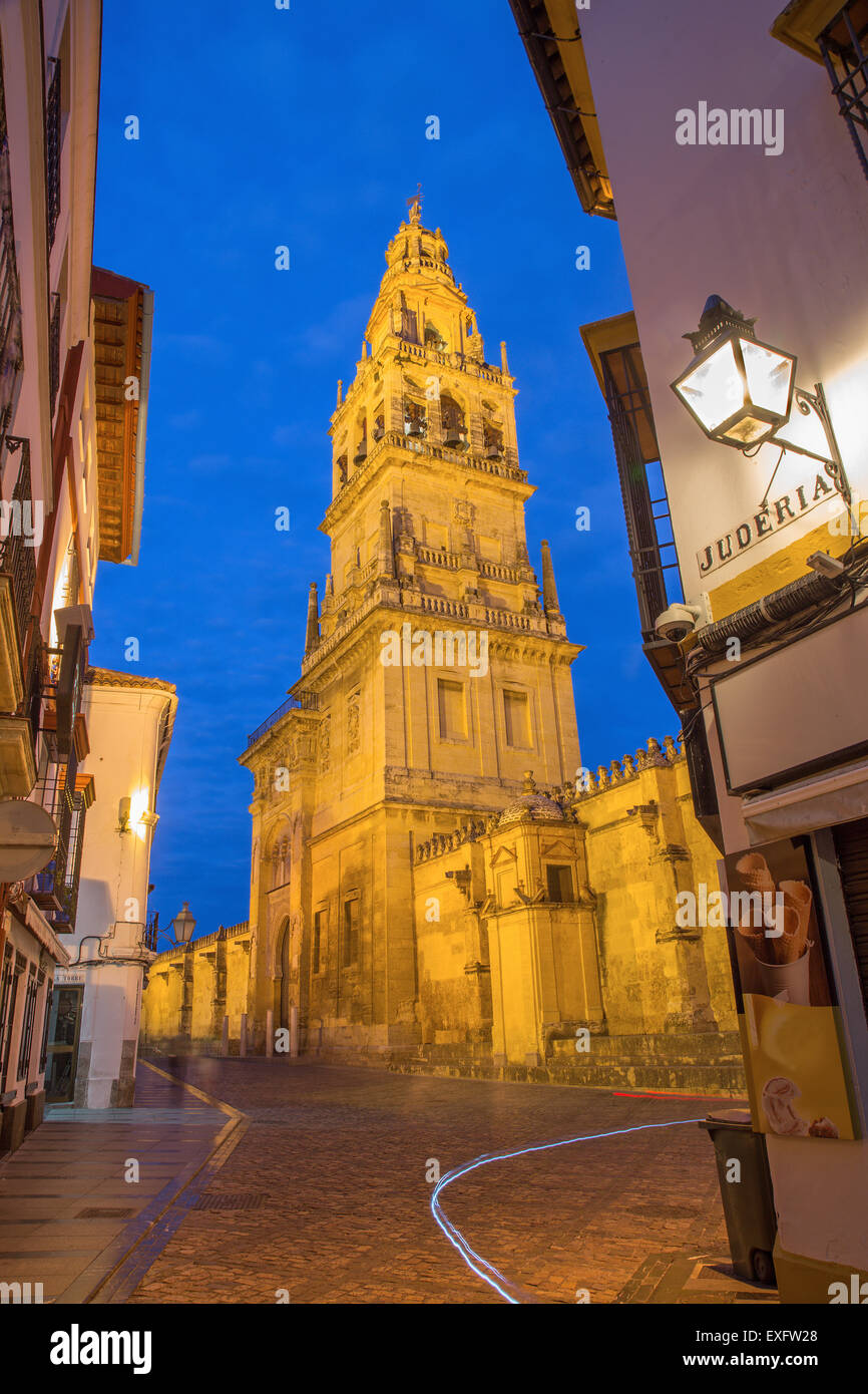 Cordoba - La torre della cattedrale e delle pareti al crepuscolo. Foto Stock