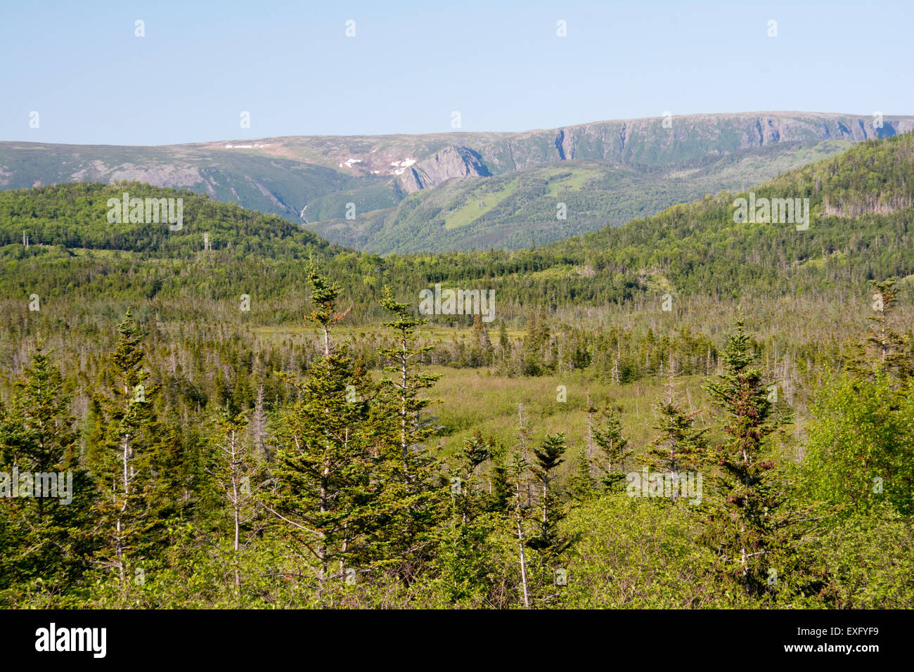 Una vista del Parco Nazionale Gros Morne. Foto Stock