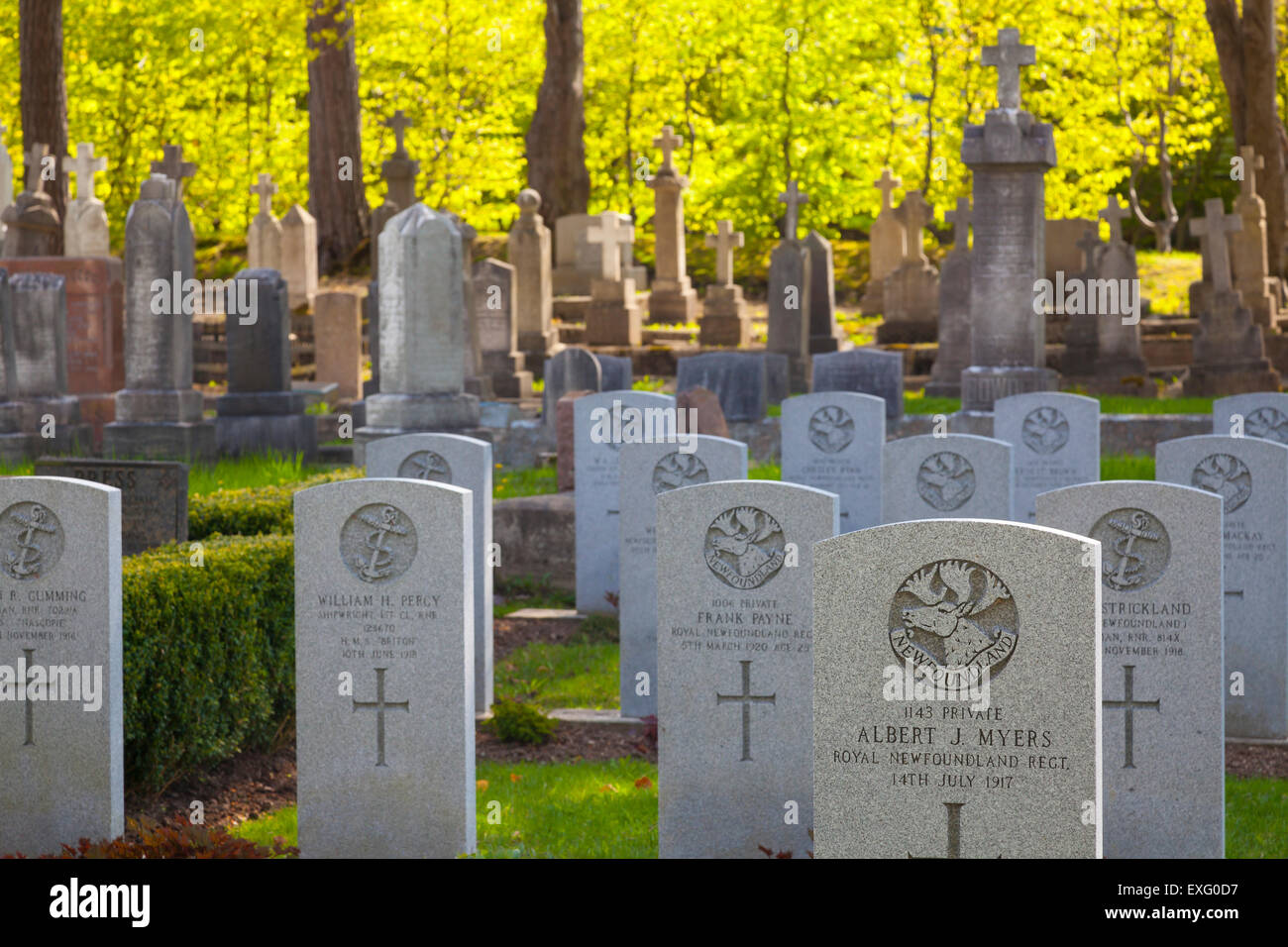 Lapidi presso la strada forestale cimitero anglicano, San Giovanni, Terranova. Foto Stock