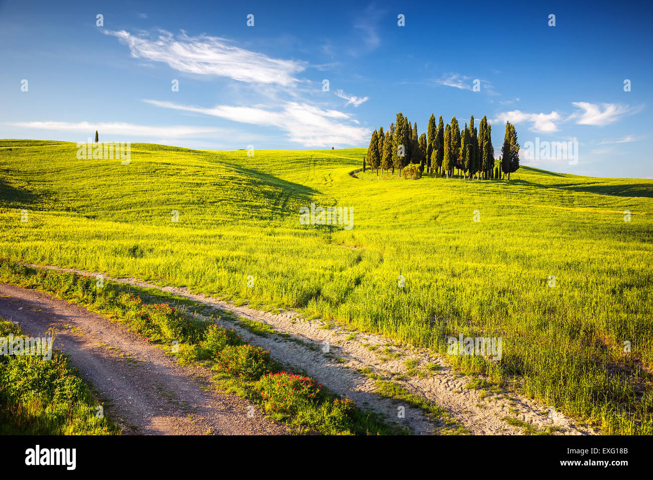 Toscana a molla Foto Stock