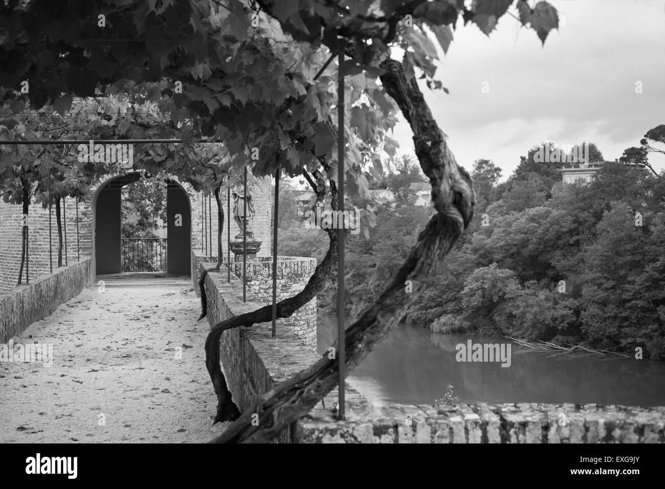Palais de la Berbie Vicolo dei giardini a Albi, Tarn, Francia. Filtrata bw shot Foto Stock
