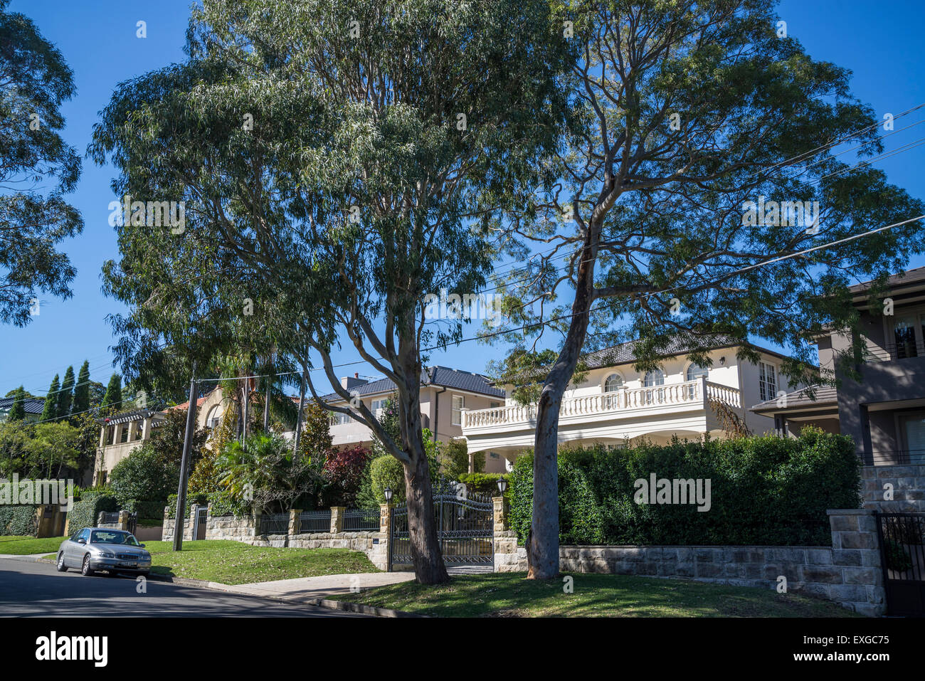 Strada residenziale, Vaucluse sobborgo, Sydney, Australia Foto Stock