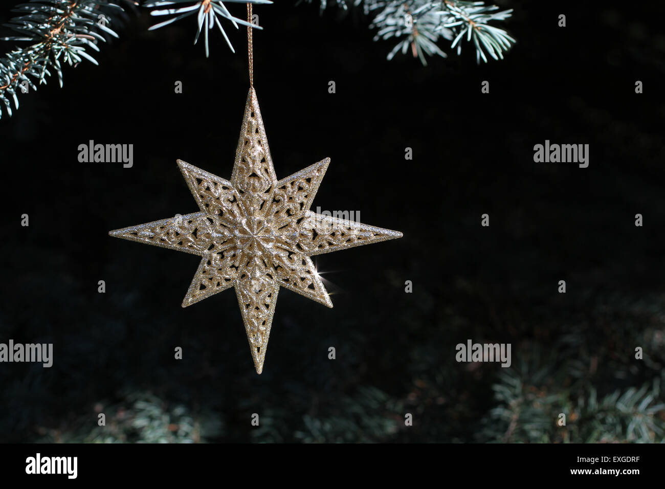 Decorazione su albero di Natale - oro stella splendente su abete rosso blu Foto Stock