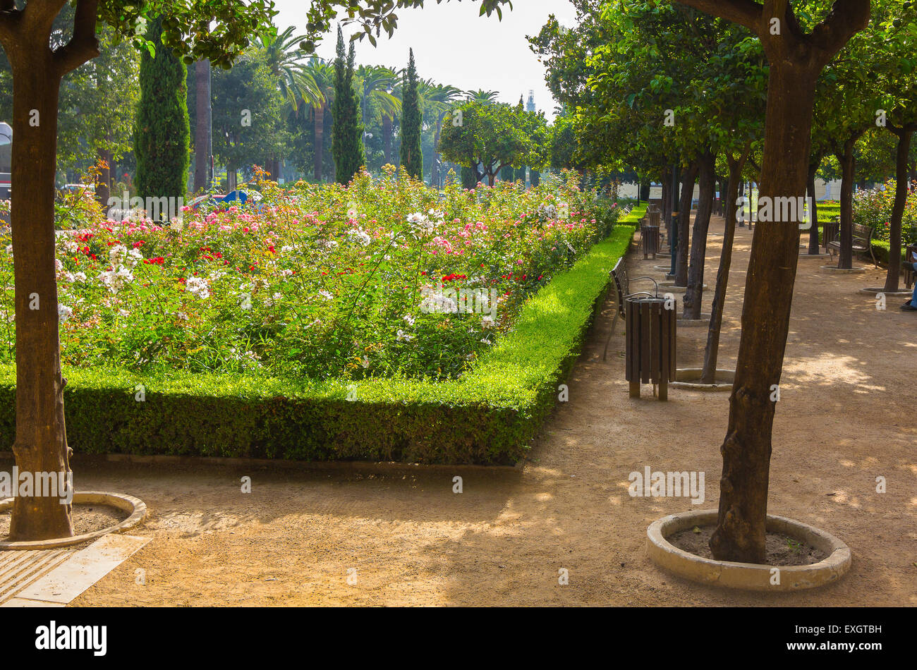 Sentieri per passeggiate attraverso i giardini del Parque de Malaga, Spagna Foto Stock
