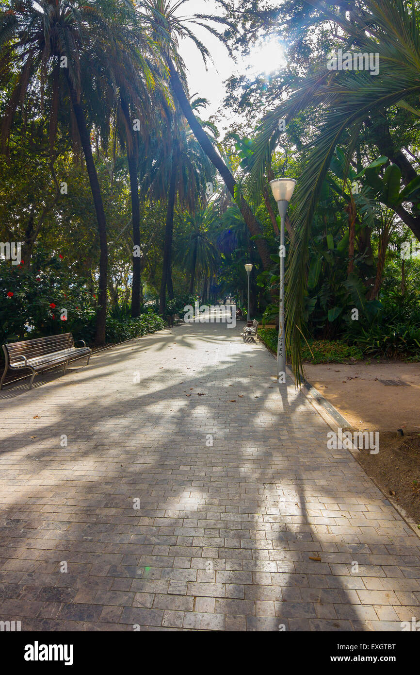 Sentieri per passeggiate attraverso i giardini del Parque de Malaga, Spagna Foto Stock
