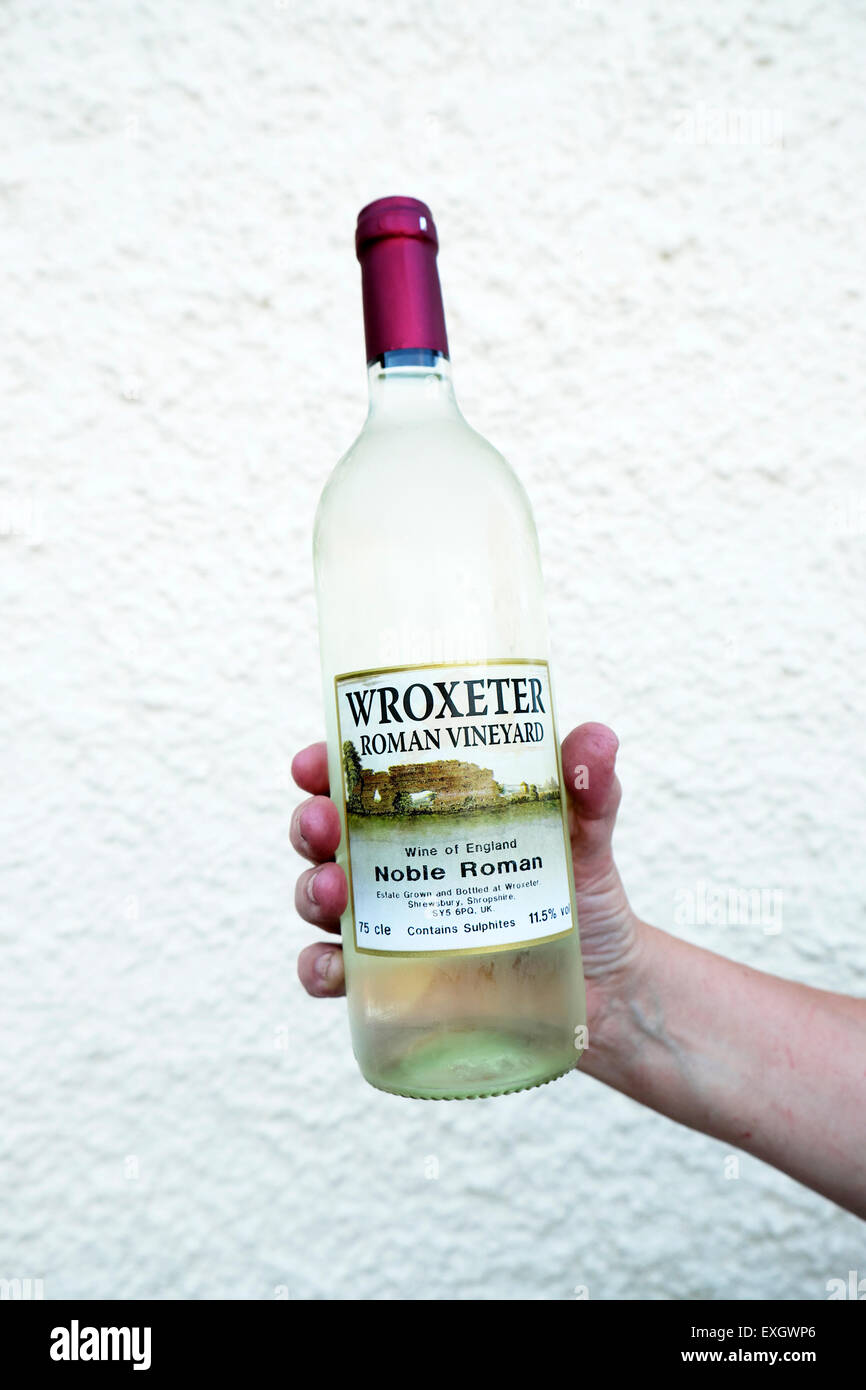 Una mano che tiene una bottiglia di vino britannico Wroxeter Roman Vineyard Vini inglesi da uve coltivate in Inghilterra KATHY DEWITT Regno Unito Foto Stock