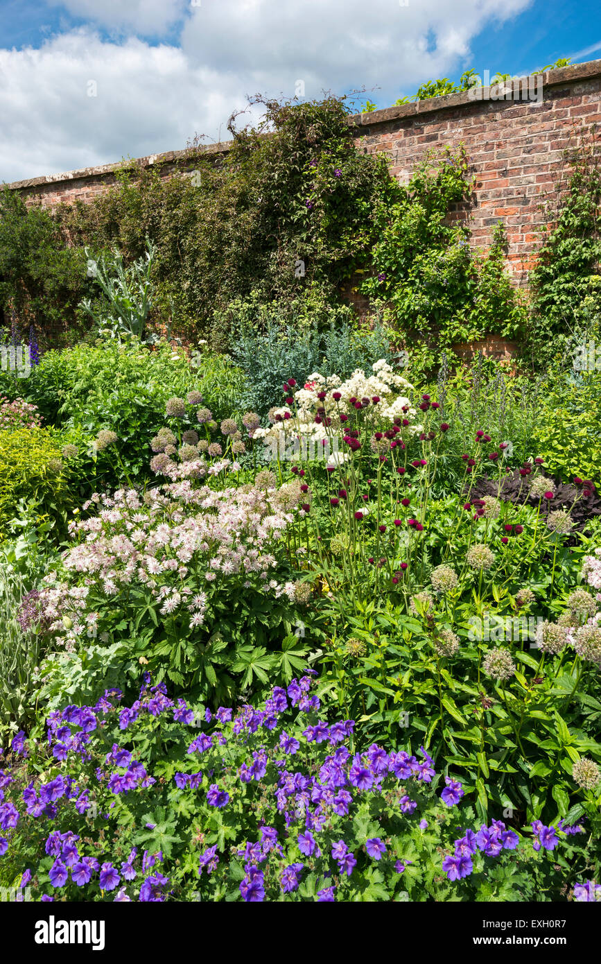 Inizio estate piante di confine a Arley Hall nel Cheshire, Inghilterra. Astrantias, gerani e funzione Cirsium. Foto Stock