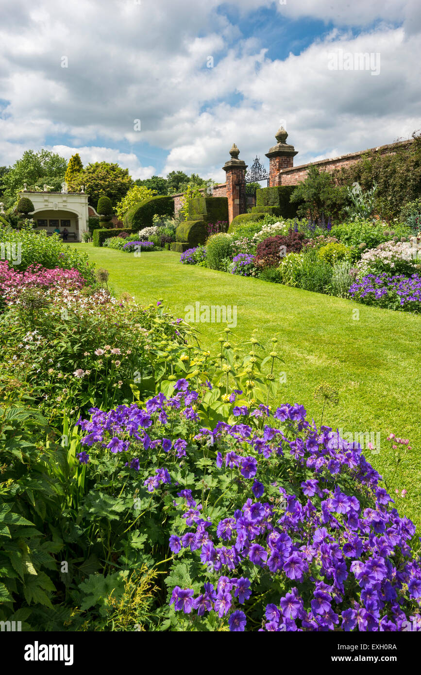 Famoso double Herbaceous borders a Arley Hall giardini nel Cheshire, Inghilterra. Foto Stock