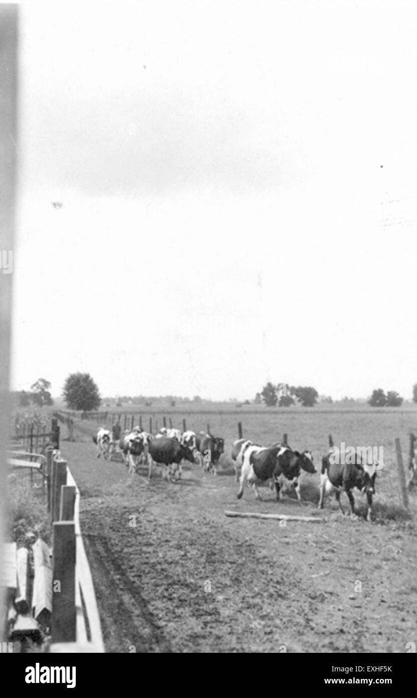 Kokomo, Indiana, è una città della contea di Howard, nota per la sua storia industriale e la sua comunità diversificata. È stato un centro per la produzione e un centro di attività culturali nella regione. Foto Stock