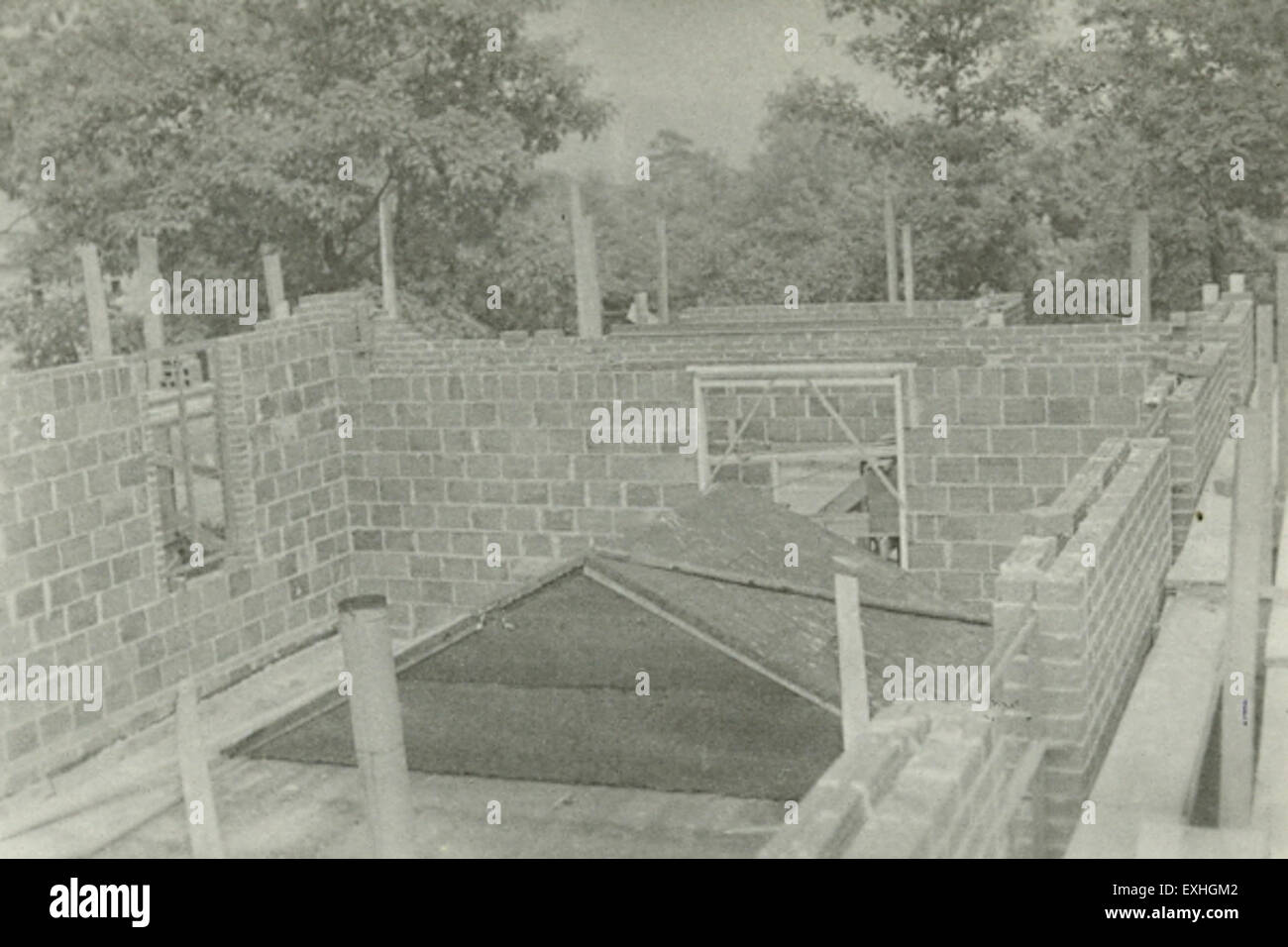 La missione mennonita di Meadow Mountain rappresenta una congregazione orientata alla comunità in Alberta, concentrandosi sulla fede, il servizio alla comunità e le pratiche religiose condivise. Questa missione è centrale per i valori di semplicità e devozione della comunità mennonita. Foto Stock