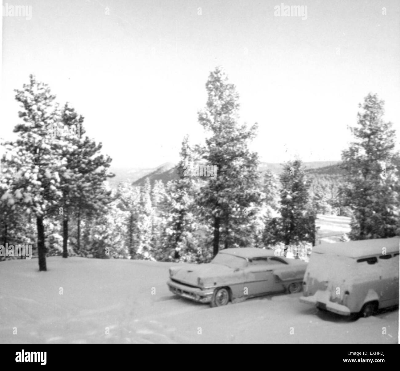 Questo dipinto del 1964 cattura una scena invernale di Woodland Park, concentrandosi sulla neve e la luce del sole in un paesaggio settentrionale, creando un'atmosfera serena con forti contrasti tra luce e buio. Foto Stock