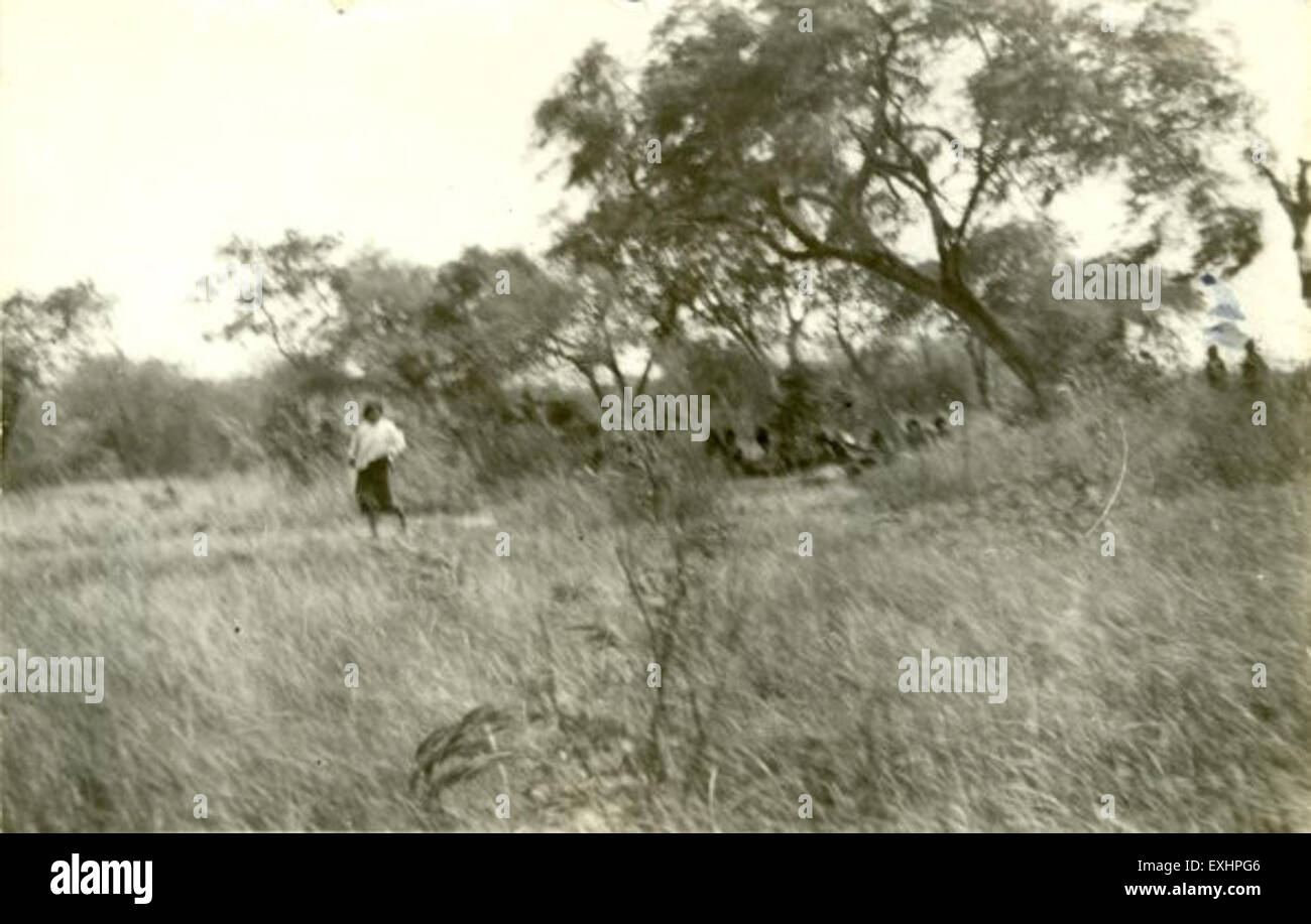 Questa fotografia cattura un tranquillo prato primaverile in Paraguay, che mostra l'ambiente agricolo della comunità mennonita. L'immagine enfatizza il paesaggio naturale, con prati lussureggianti e alberi che formano uno sfondo tranquillo. Foto Stock