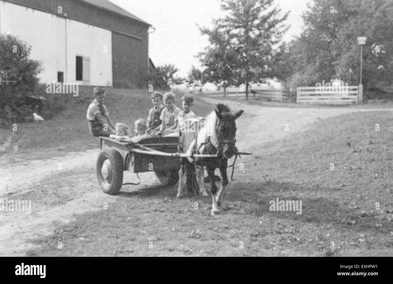 Silvestro Lehman bambini In Kidron, Ohio Foto Stock