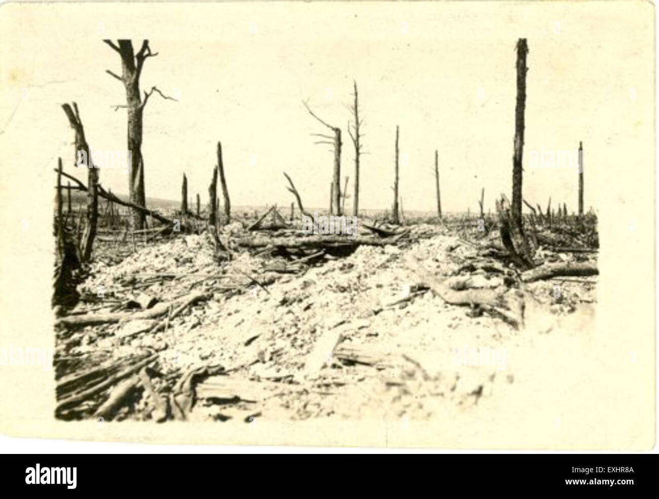 La Foresta delle Argonne, raffigurata qui intorno al 1918, fu un sito critico durante la prima guerra mondiale. Nota per i sanguinosi combattimenti nell'offensiva della Mosa-Argonne, rappresenta una delle aree più letali del fronte occidentale del conflitto. Foto Stock