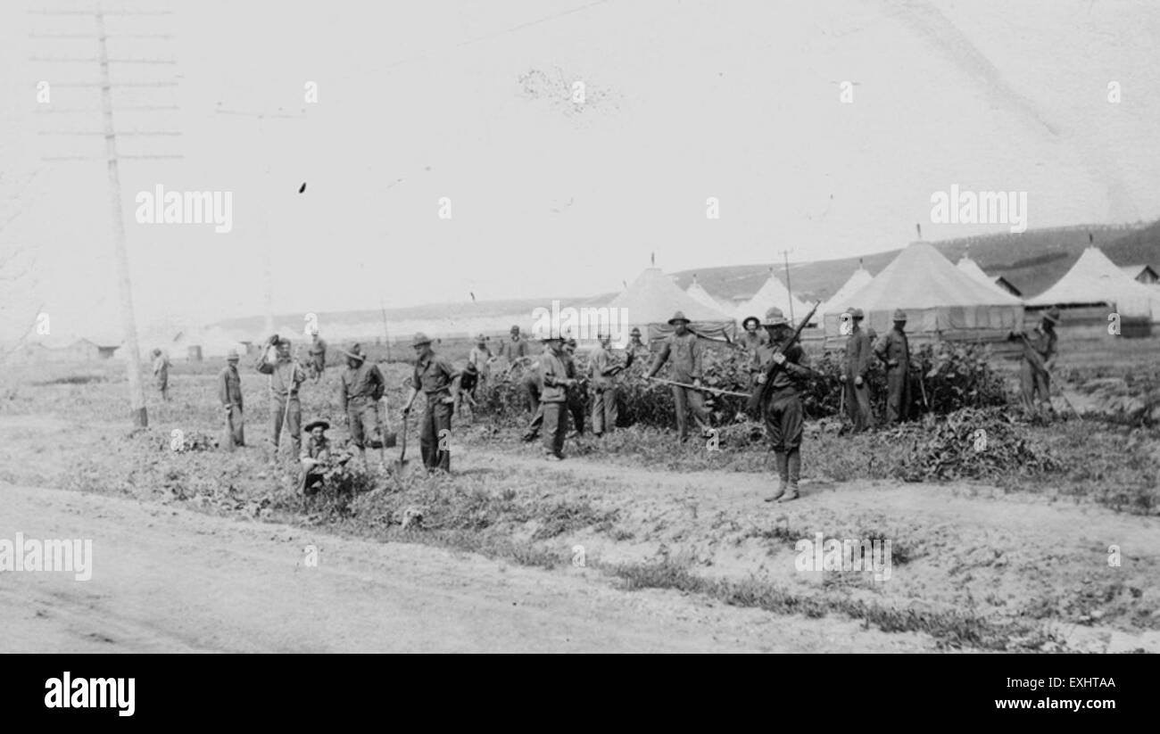 Questa opera d'arte senza titolo cattura un muro a Christchurch, nuova Zelanda, che viene trasformato dagli artisti di strada durante il festival di Street art RISE. L'immagine mostra l'uso vivace di vernice spray e rulli, un riflesso della crescente cultura urbana della Street art della città. Foto Stock