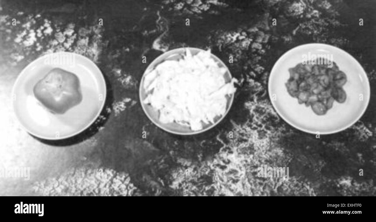 Una panoramica dei vari alimenti ricchi di vitamina C, come si vede a Goshen, Indiana. Gli alimenti presentati sono essenziali per la salute, fornendo una fonte naturale della vitamina necessaria per il supporto immunitario e il benessere generale. Foto Stock