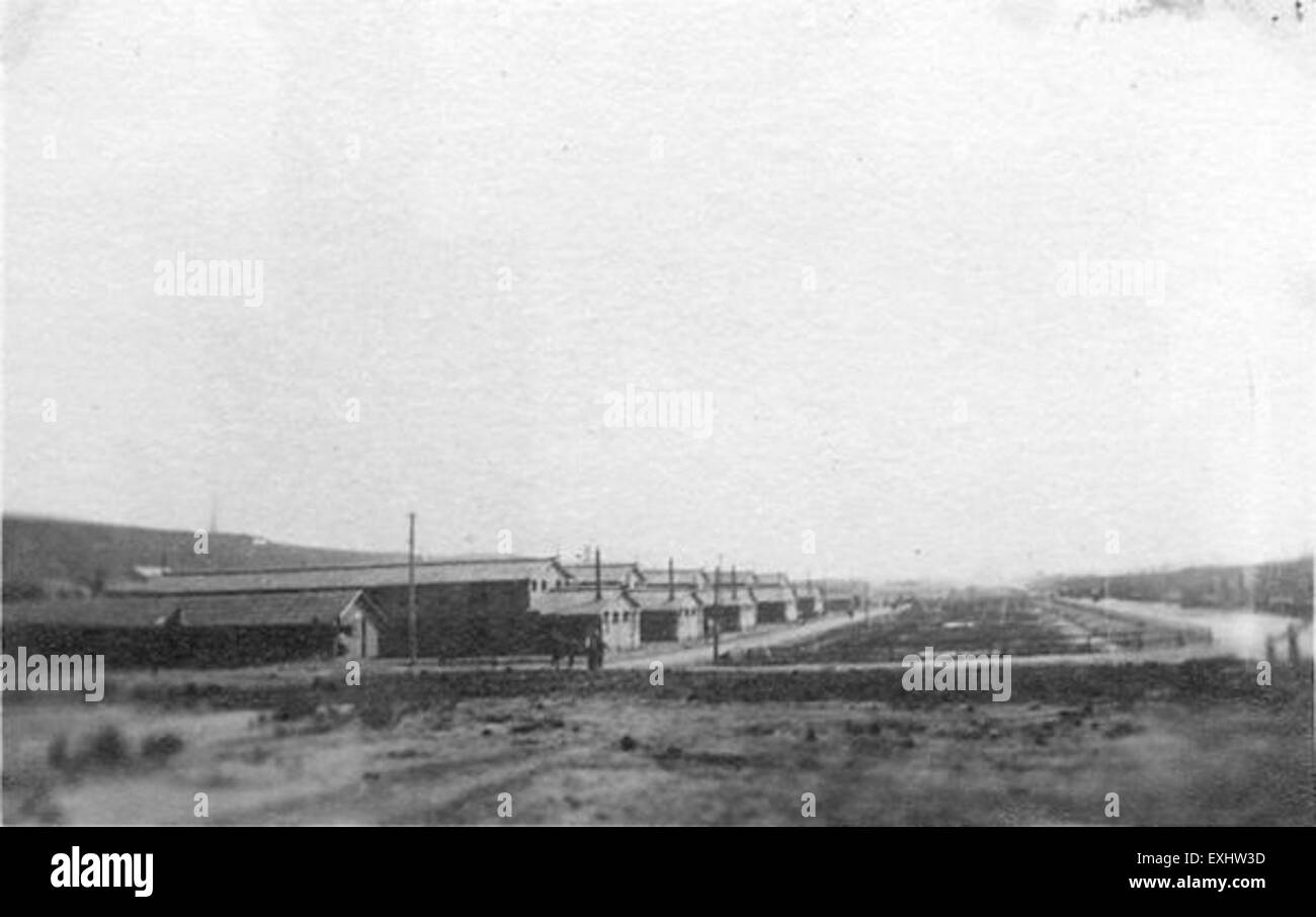 Avenue B è una strada in una città che è raffigurata in una fotografia vintage che mostra una scena urbana frenetica. L'immagine cattura l'energia della vita cittadina all'inizio del XX secolo, con persone che camminano lungo il viale e un'architettura specifica del periodo che fiancheggia la strada. Foto Stock