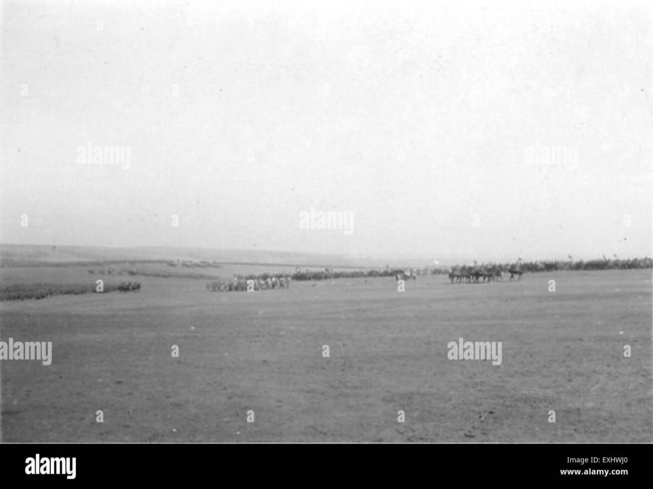 Una fotografia storica della 10th Division Review, che mostra una banda militare in marcia durante una revisione cerimoniale. La fotografia cattura la precisione e la disciplina della cerimonia militare. Foto Stock