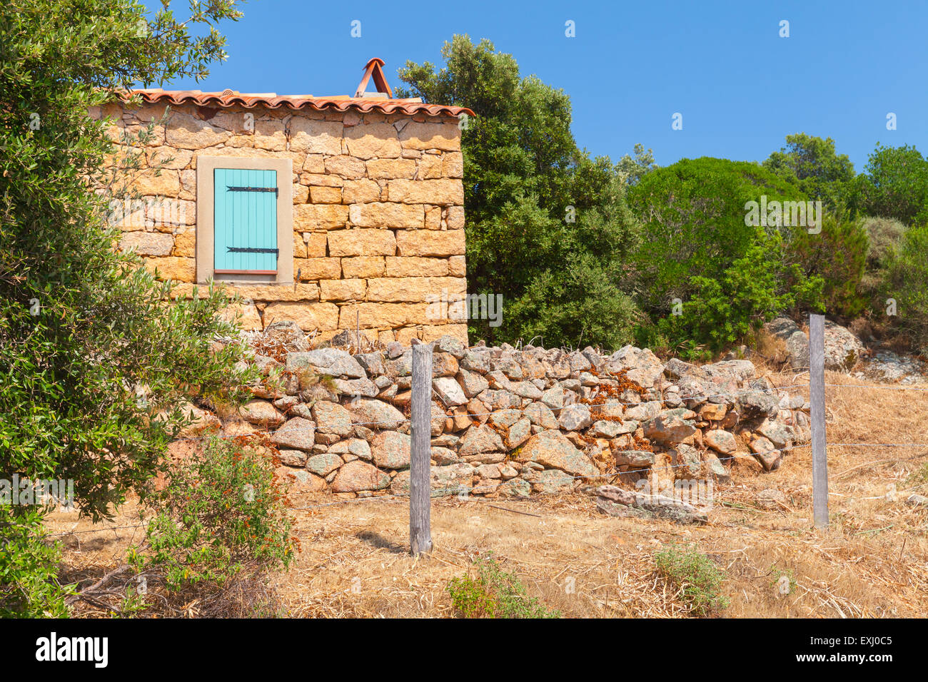 Tipicamente il paesaggio rurale della Corsica, Francia. Vecchia casa di pietra e alberi Foto Stock