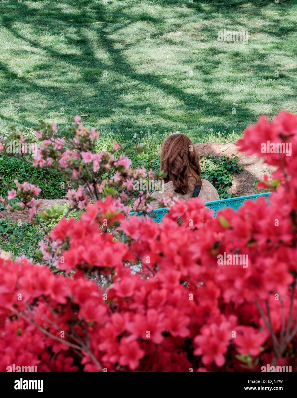 Un rosso testa donna caucasica si rilassa su una panchina in un parco pubblico con fioriture primaverili azalee in primo piano. Foto Stock