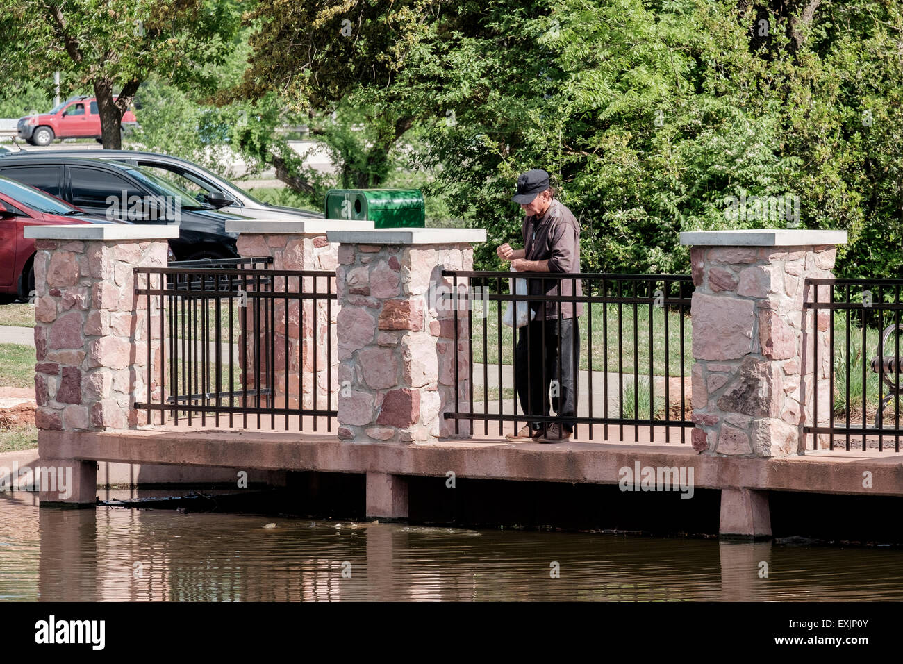 Un uomo caucasico nella sua 60s getta il cibo per pesci di carpe in uno stagno in Will Rogers Park nella città di Oklahoma, Oklahoma, Stati Uniti d'America. Foto Stock