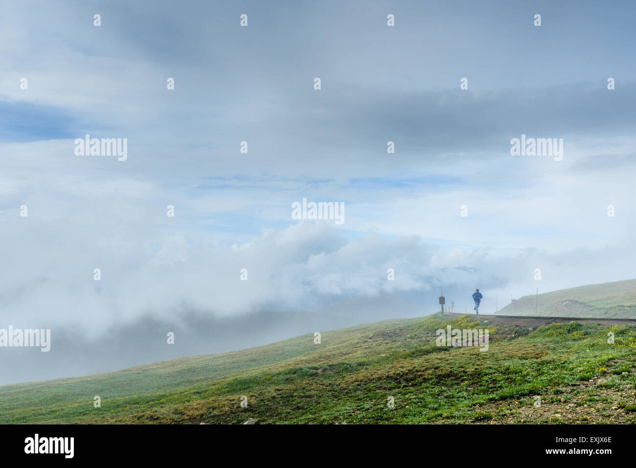 Uomo che corre lungo Trail Ridge Road durante una tempesta. Foto Stock